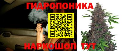 ешки Кандалакша