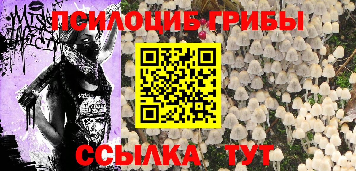 Псилоцибиновые грибы мухоморы  продажа наркотиков  Каменск-Шахтинский  Вход с VPN 