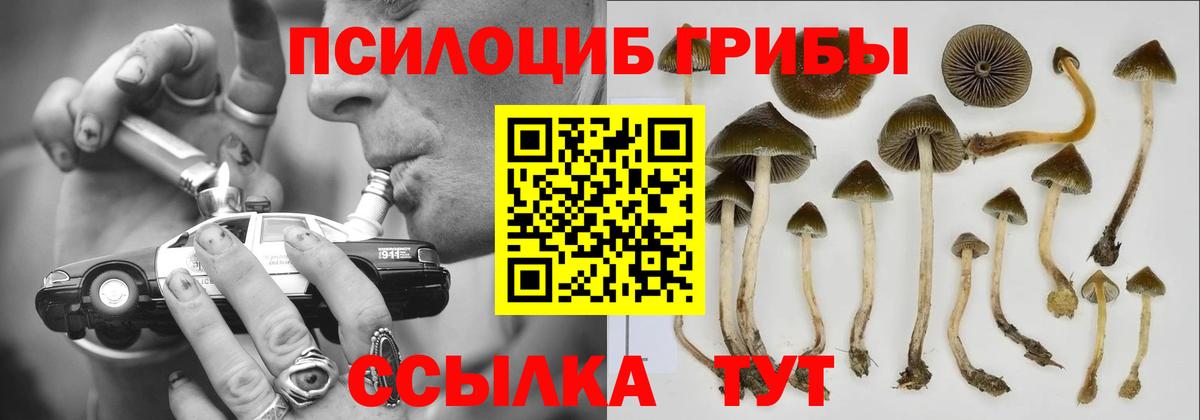 Галлюциногенные грибы Magic Shrooms Каменск-Шахтинский